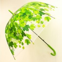 Зонт Листья зеленые .